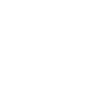 RovioVet Logo